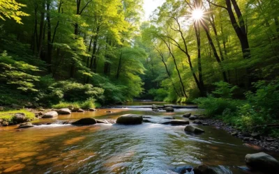 Linn Run State Park, Pennsylvania: Best Things to Do – Top Picks