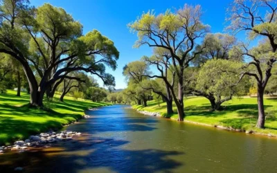 McConnell State Recreation Area, California: Best Things to Do – Top Picks