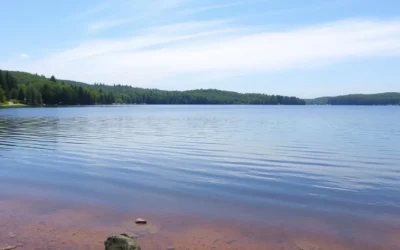 Memorial Lake State Park, Pennsylvania: Best Things to Do – Top Picks