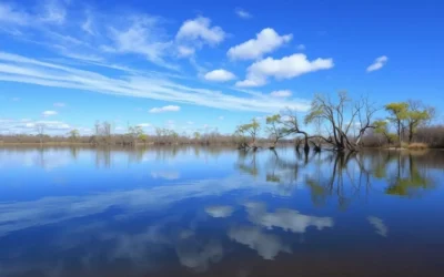 Mermet Lake Conservation Area, Illinois: Best Things to Do – Top Picks