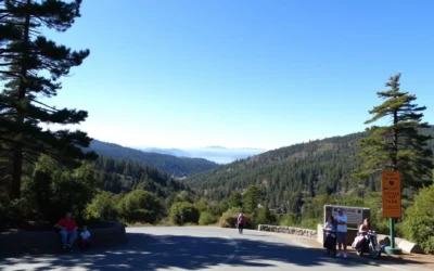 Mount Tamalpais State Park, California: Best Things to Do – Top Picks