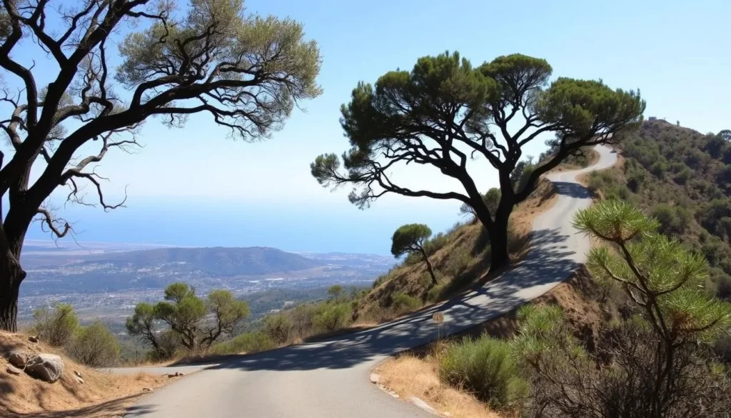 Scenic view of the winding Painted Cave Road leading to Chumash Painted Cave State Historic Park with Santa Barbara visible in the distance Scenic view of the winding Painted Cave Road leading to Chumash Painted Cave State Historic Park with Santa Barbara visible in the distance