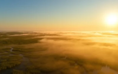 Cameron Prairie Wetlands, Louisiana: Best Things to Do – Top Picks