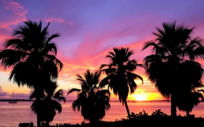 Upper Matecumbe Key, Florida: Best Things to Do – Top Picks