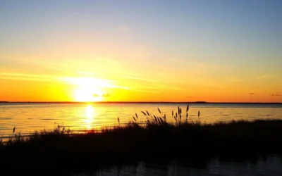 Waccasassa Bay Preserve State Park, Florida: Best Things to Do – Top Picks