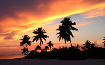 Summerland Key, Florida: Best Things to Do – Top Picks