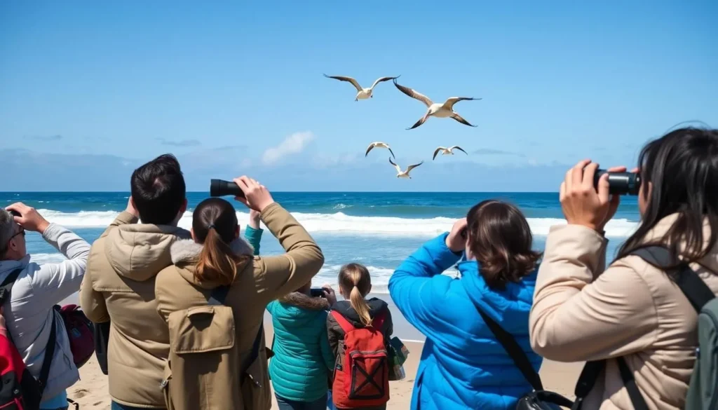 Visitors with binoculars watching wildlife at Pelican State Beach California