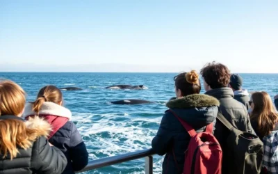 Warrnambool, Victoria: Best Things to Do – Top Picks