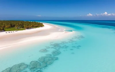 Saona Island, Dominican Republic: Best Things to Do – Top Picks