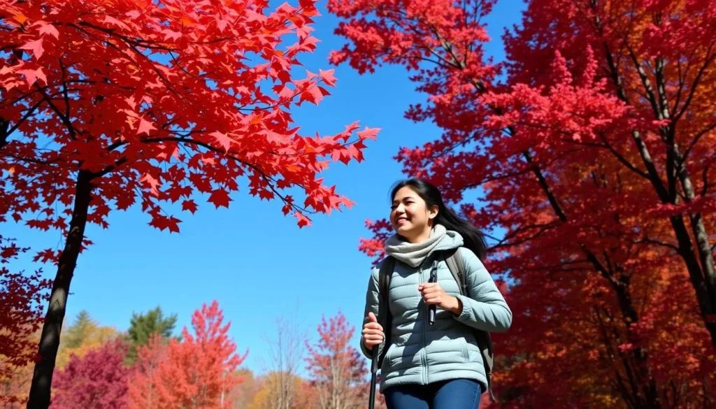 Autumn colors at Swatara State Park with hikers enjoying the trail