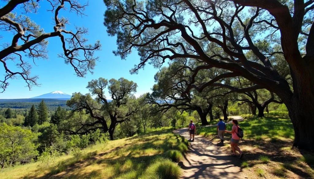 Hiking trail through oak woodlands near Shasta State Historic Park with mountain views Hiking trail through oak woodlands near Shasta State Historic Park with mountain views