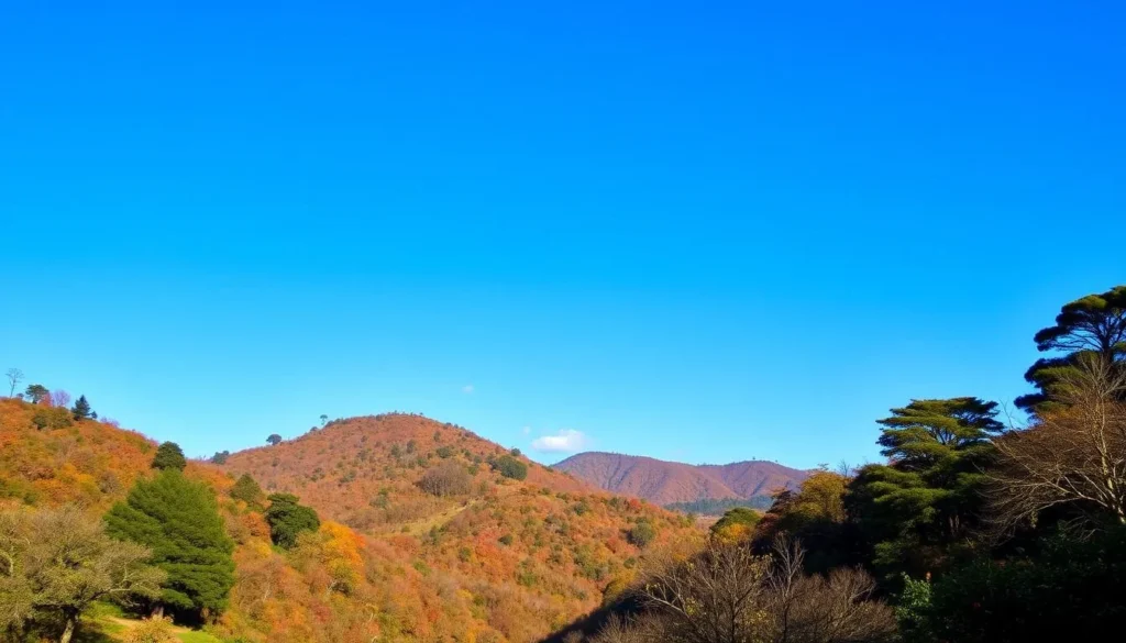 Kohima landscape during autumn with clear skies and pleasant weather