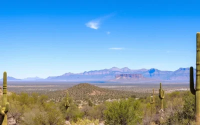 Tonto National Forest Highlands, Arizona: Best Things to Do – Top Picks