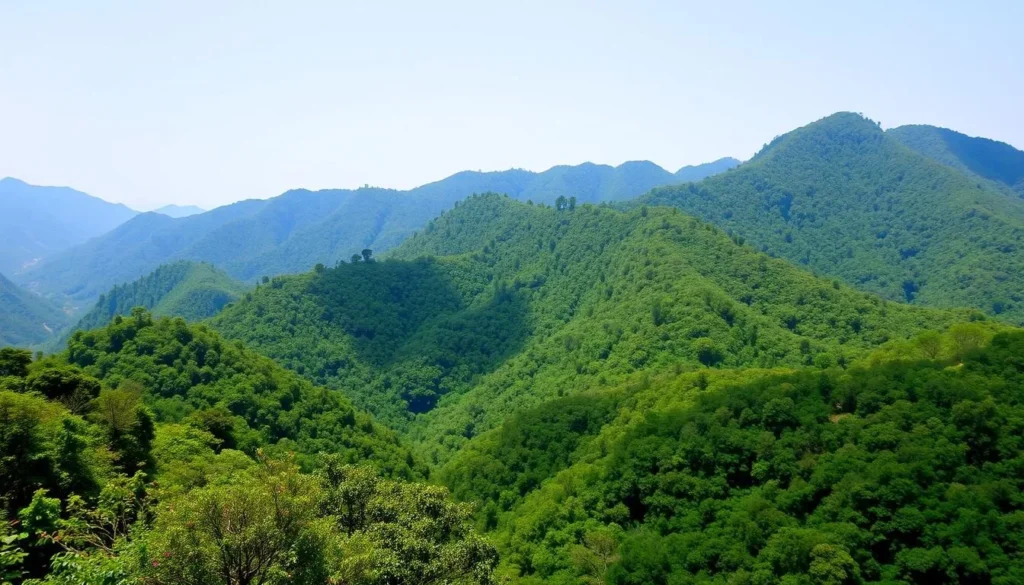 Phawngpui Blue Mountain National Park showing lush forests and mountain peaks