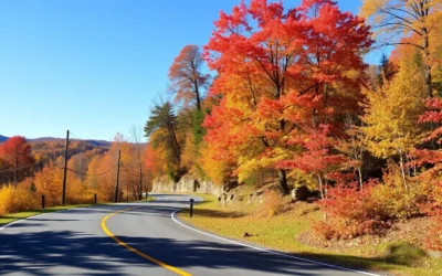 Worlds End State Park, Pennsylvania: Best Things to Do – Top Picks