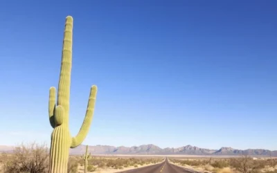 Tombstone Courthouse State Historic Park, Arizona: Best Things to Do – Top Picks