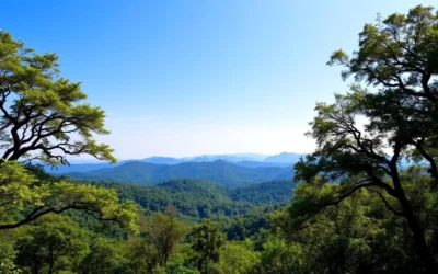 Bandhavgarh National Park, Madhya Pradesh: Best Things to Do – Top Picks