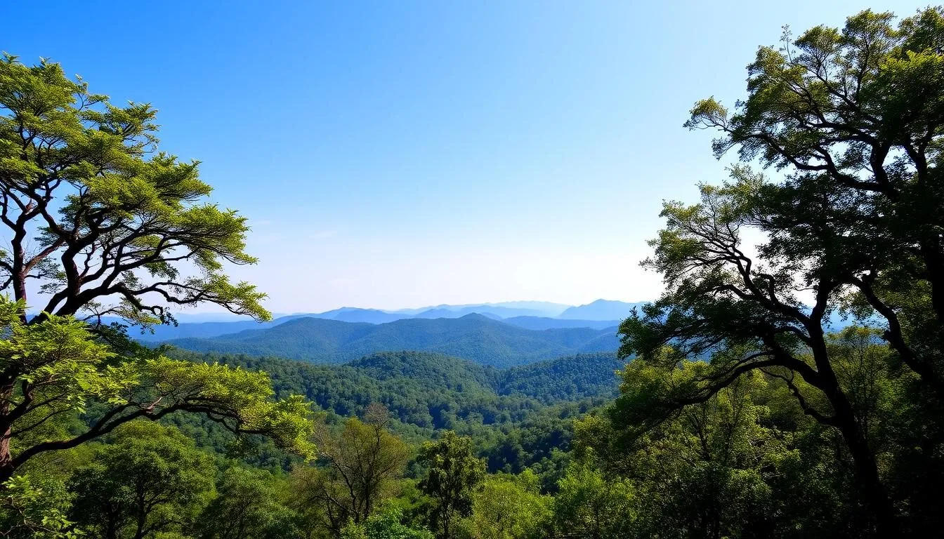 Scenic landscape view of Bandhavgarh National Park with lush green forest and mountains in the background