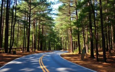 South Toledo Bend State Park, Louisiana: Best Things to Do – Top Picks