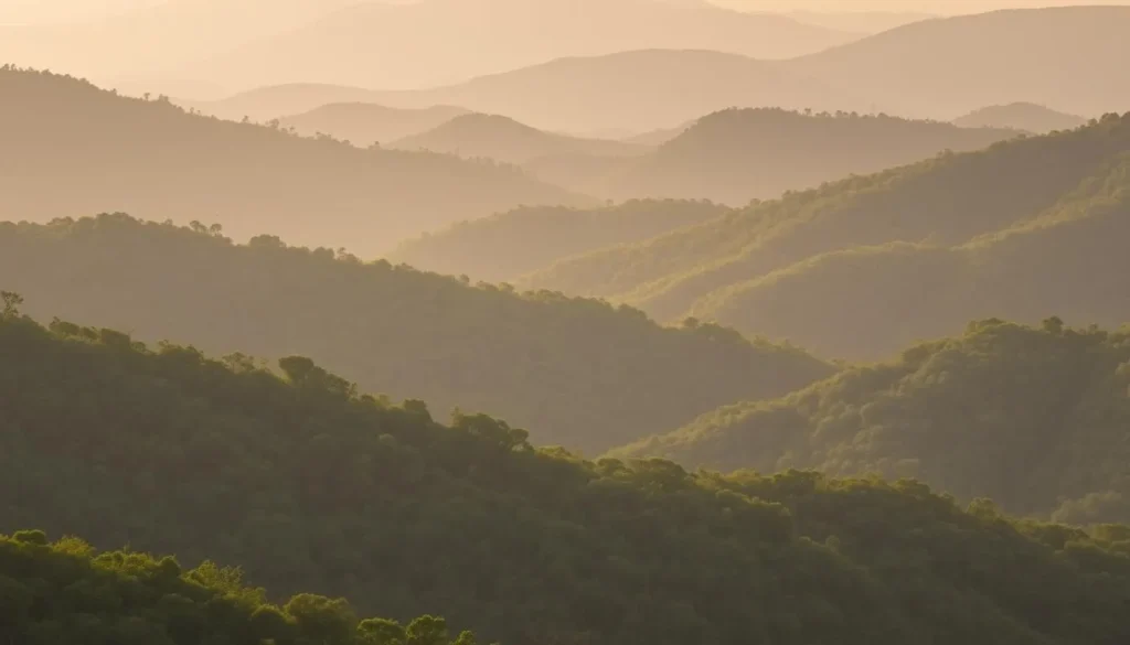 Scenic view of Netarhat hill station with rolling hills covered in dense forests