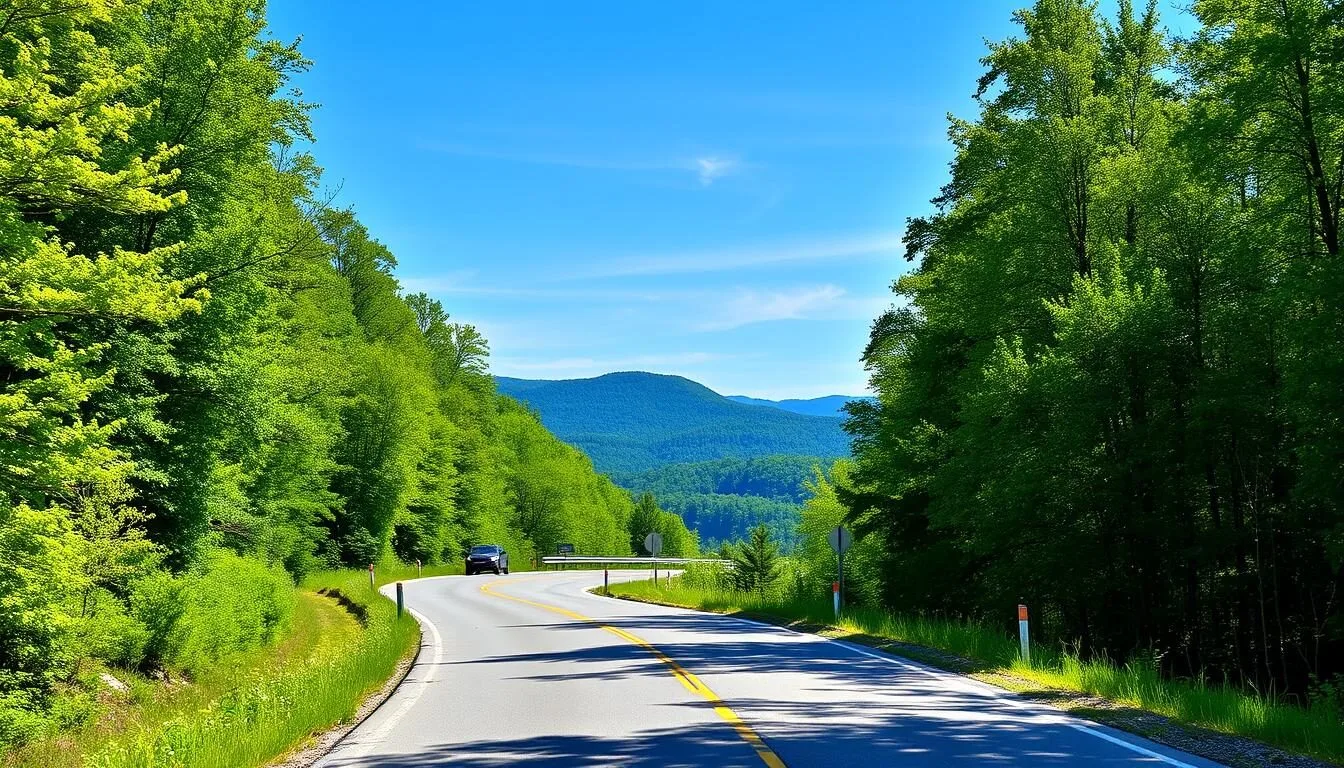 Scenic view of Swatara State Park entrance road with mountains in background