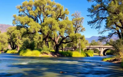 Woodson Bridge State Recreation Area, California: Best Things to Do – Top Picks