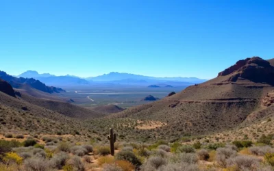 Patagonia-Sonoita Creek Preserve, Arizona: Best Things to Do – Top Picks