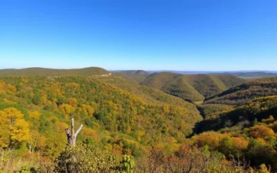 Tunica Hills Wildlife Management Area, Louisiana: Best Things to Do – Top Picks