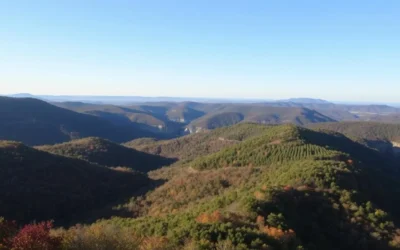 Tunica Trace Scenic Byway, Louisiana: Best Things to Do – Top Picks