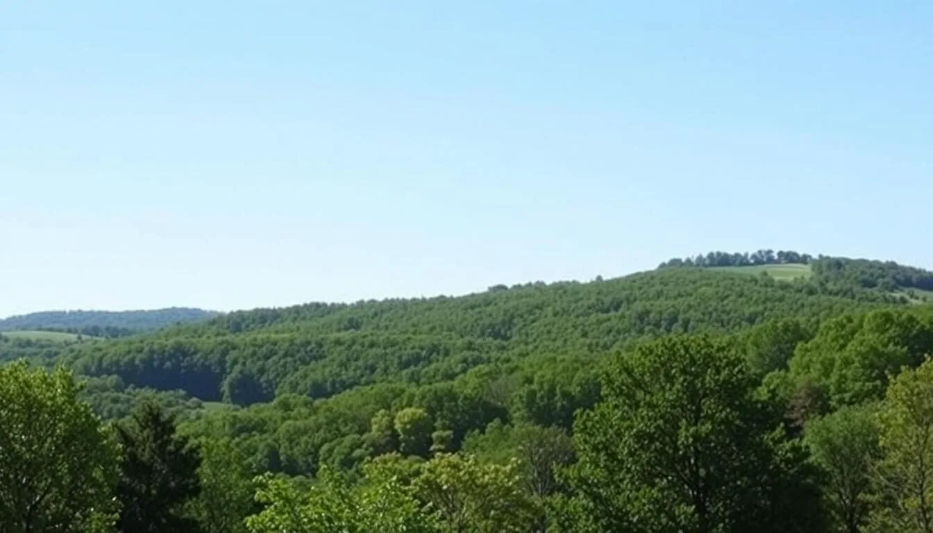 Scenic-view-of-the-rolling-hills-surrounding-Tunnel-Hill-Nature-Preserve-in-Southern-Illinois Scenic view of the rolling hills surrounding Tunnel Hill Nature Preserve in Southern Illinois