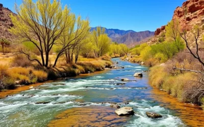 Sonoita Creek State Natural Area, Arizona: Best Things to Do – Top Picks