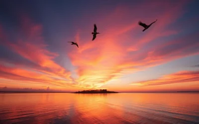 Raccoon Island (Isles Dernières Chain), Louisiana: Best Things to Do – Top Picks