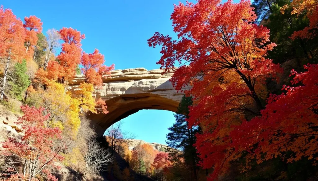Tonto Natural Bridge State Park Arizona in autumn with colorful fall foliage surrounding the travertine formation Tonto Natural Bridge State Park Arizona in autumn with colorful fall foliage surrounding the travertine formation
