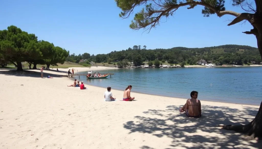 Visitors enjoying Heart's Desire Beach at Tomales Bay State Park on a sunny day