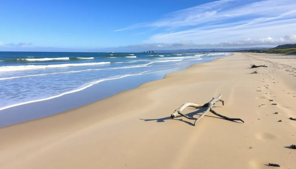 Wide sandy beach at Kellogg Road with waves and driftwood Wide sandy beach at Kellogg Road with waves and driftwood