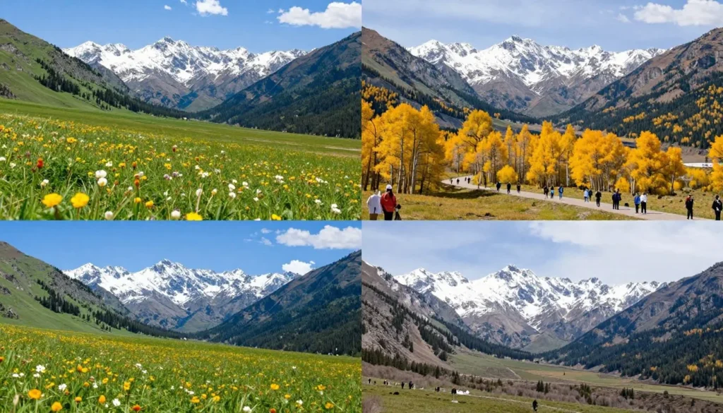 Four seasons collage of Mineral City Colorado landscapes