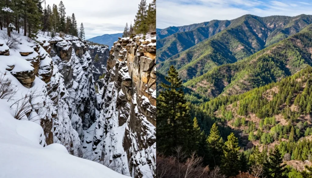 Lee Canyon four seasons showcase with winter snow and summer greenery in Spring Mountains