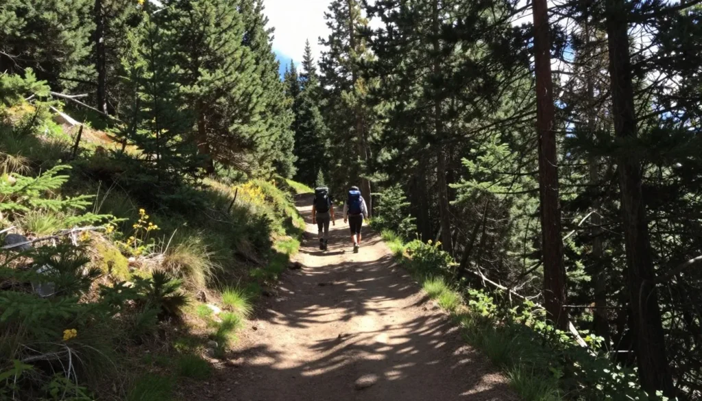Mountain trail through forest with hikers in distance Mountain trail through forest with hikers in distance