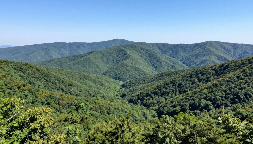 Scenic Tennessee mountain landscape with winding road through forested hills
