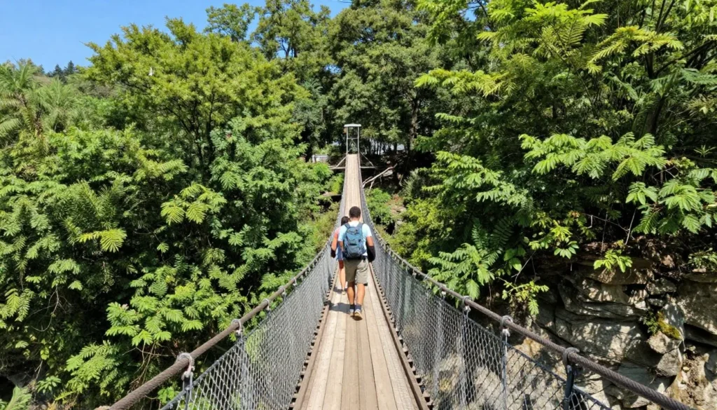 Suspension bridge spanning forest gorge with hikers crossing