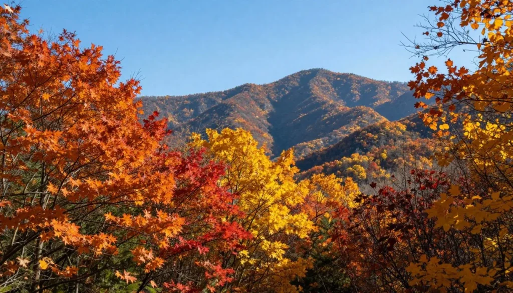 Colorful autumn foliage in Great Smoky Mountains Tennessee Colorful autumn foliage in Great Smoky Mountains Tennessee