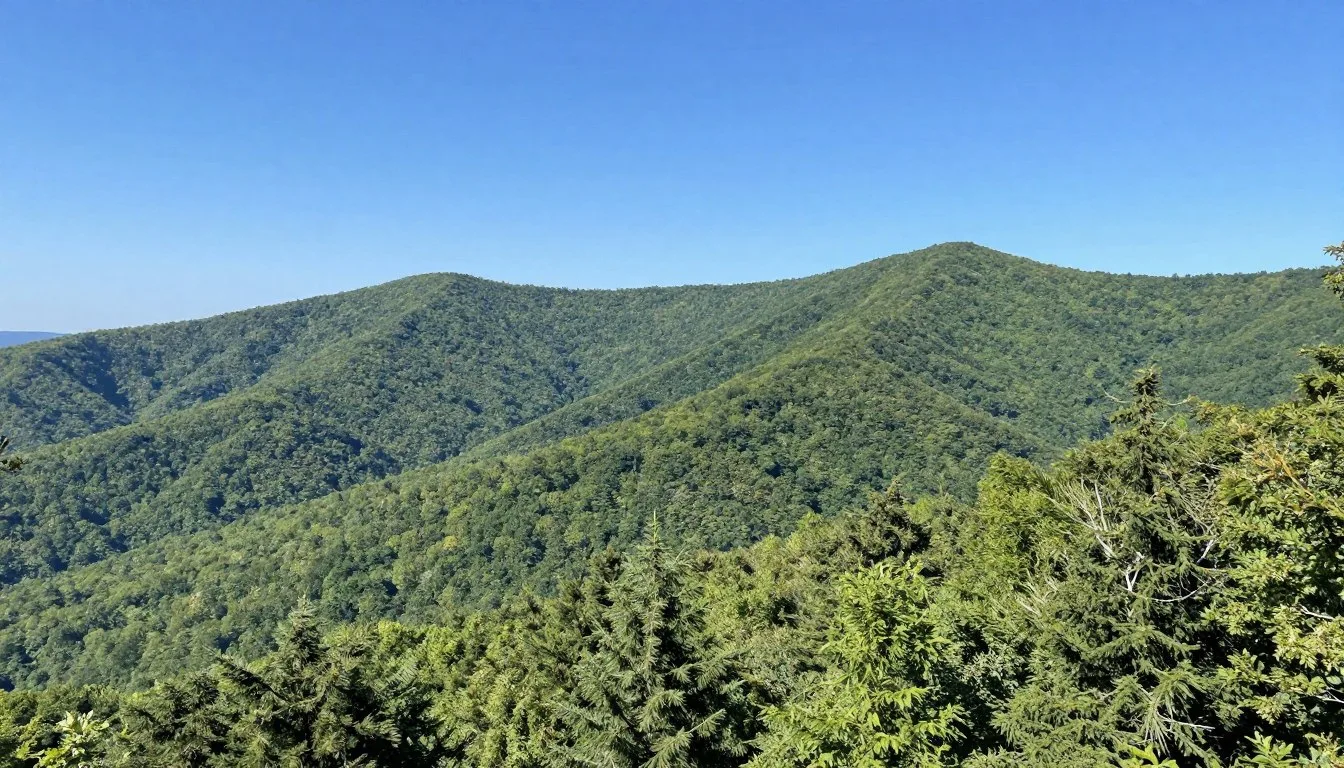 Holston Mountain Tennessee panoramic wilderness view with mountain ridges