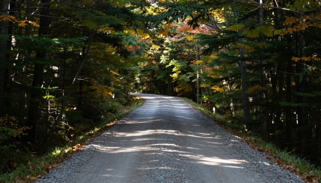 Parson Branch Road winding through forest in Great Smoky Mountains Parson Branch Road winding through forest in Great Smoky Mountains
