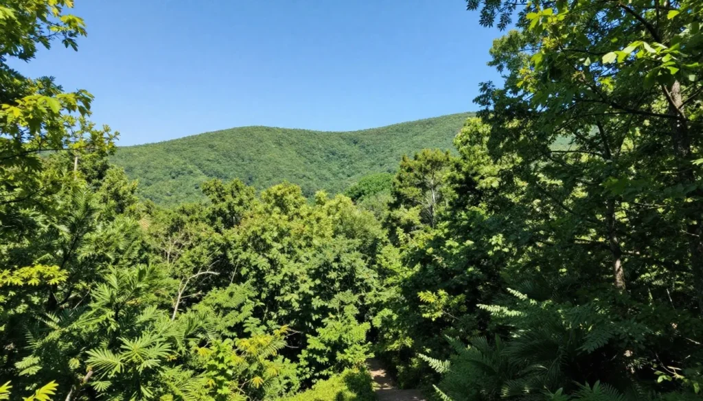 Scenic Tennessee state park landscape with forests and natural features Scenic Tennessee state park landscape with forests and natural features