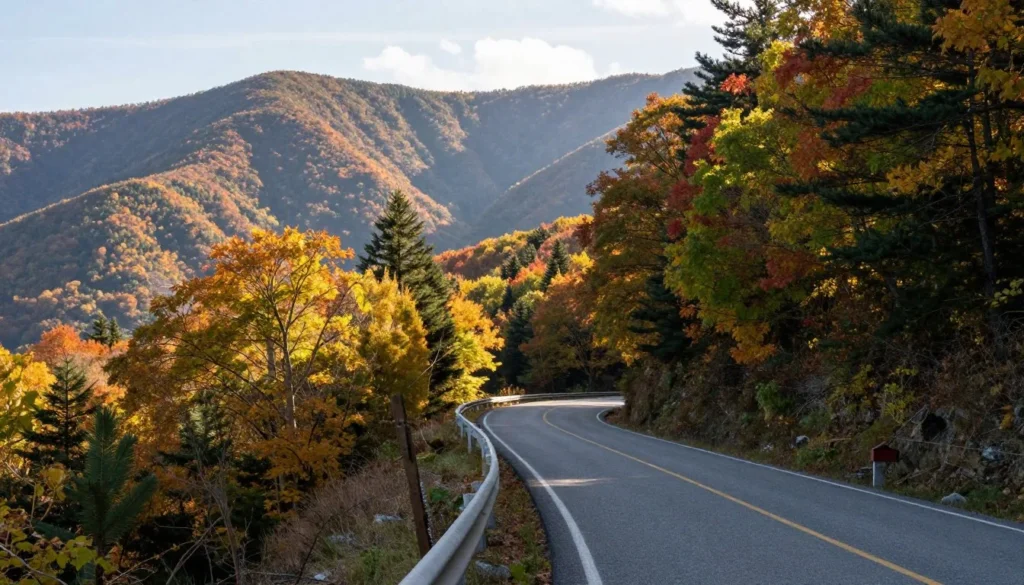 Scenic drive through Cumberland Mountains Tennessee leading to Frozen Head State Natural Area Scenic drive through Cumberland Mountains Tennessee leading to Frozen Head State Natural Area