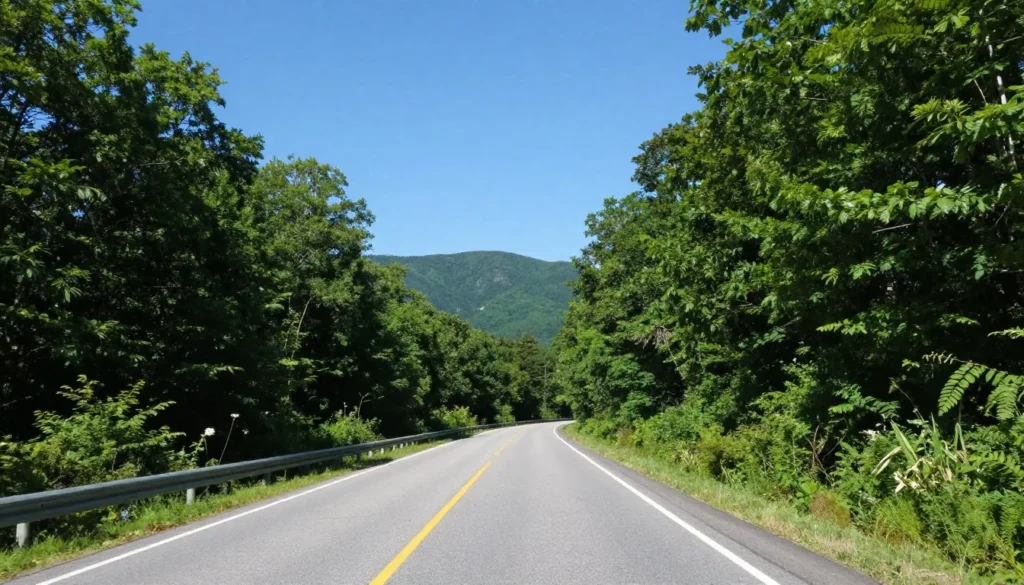 Scenic mountain road through Great Smoky Mountains Scenic mountain road through Great Smoky Mountains