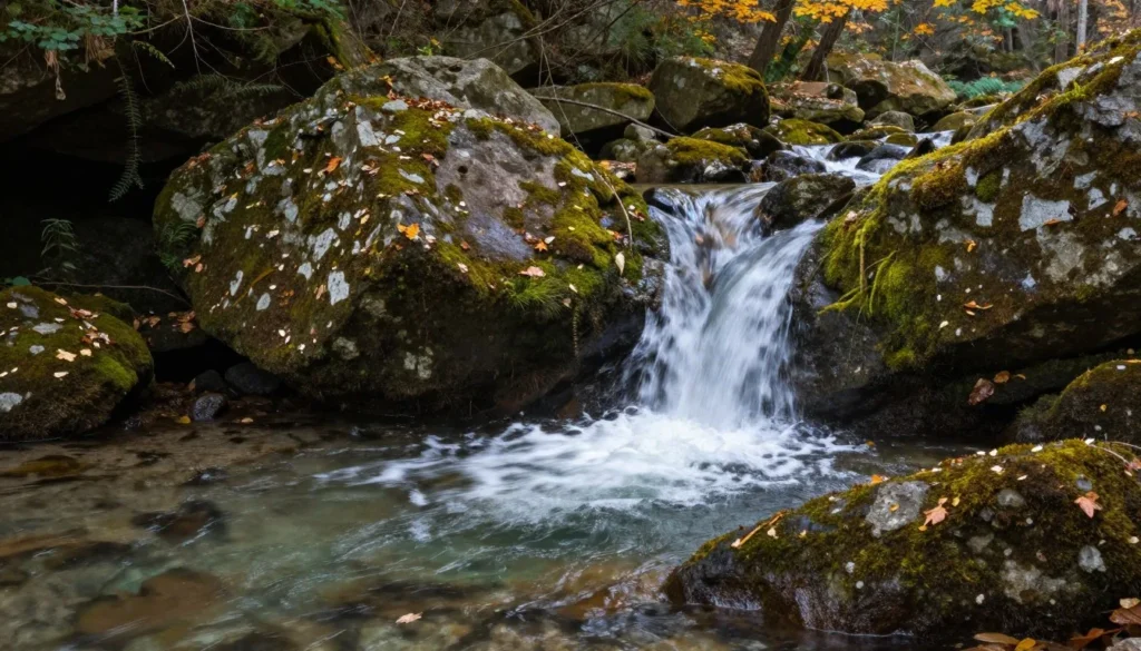 Scenic mountain stream cascading over rocks in forest Scenic mountain stream cascading over rocks in forest