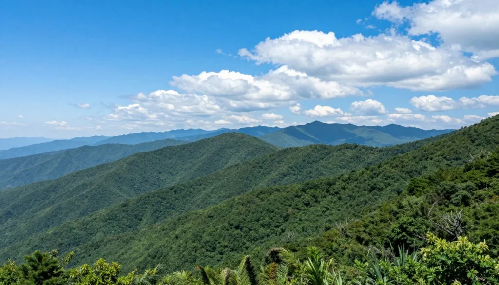 Scenic overlook along Blue Ridge Parkway showing mountain ridges Scenic overlook along Blue Ridge Parkway showing mountain ridges