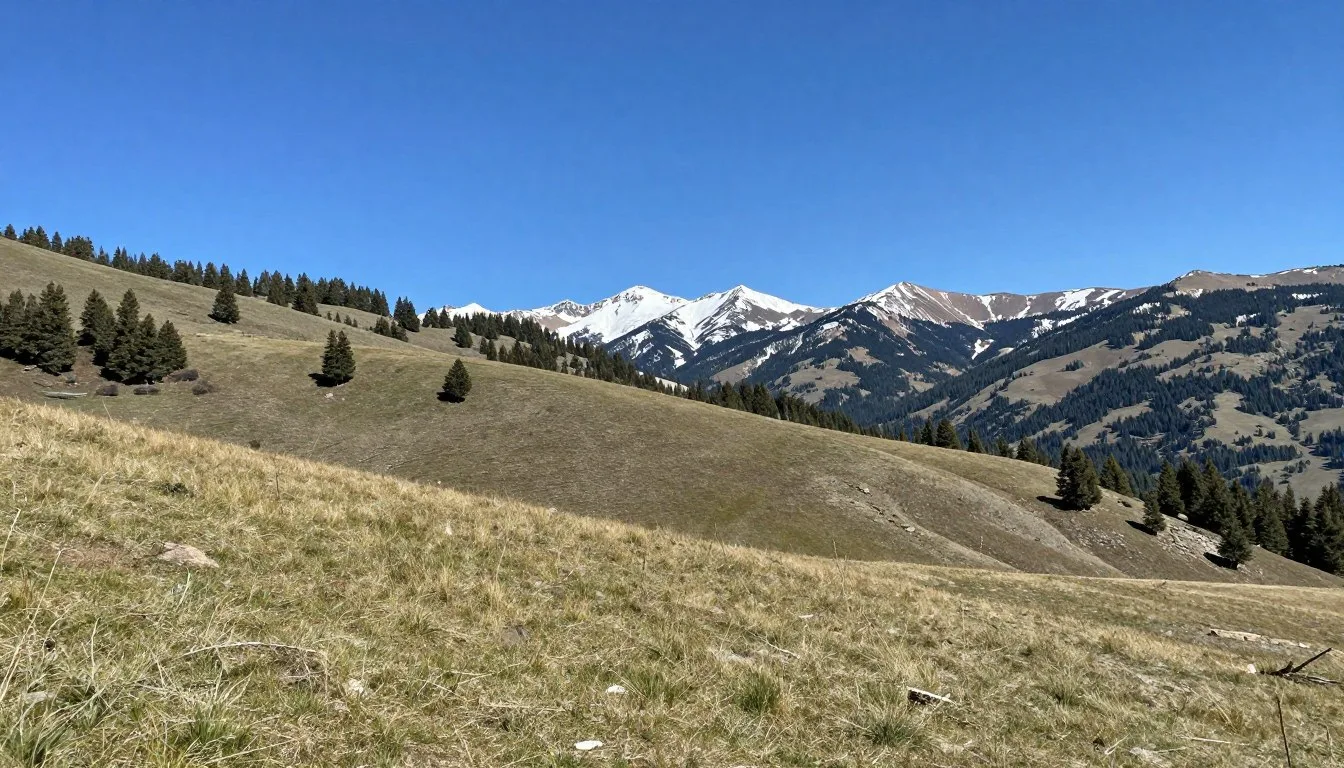 Trout Creek Pass uplands Colorado mountain landscape