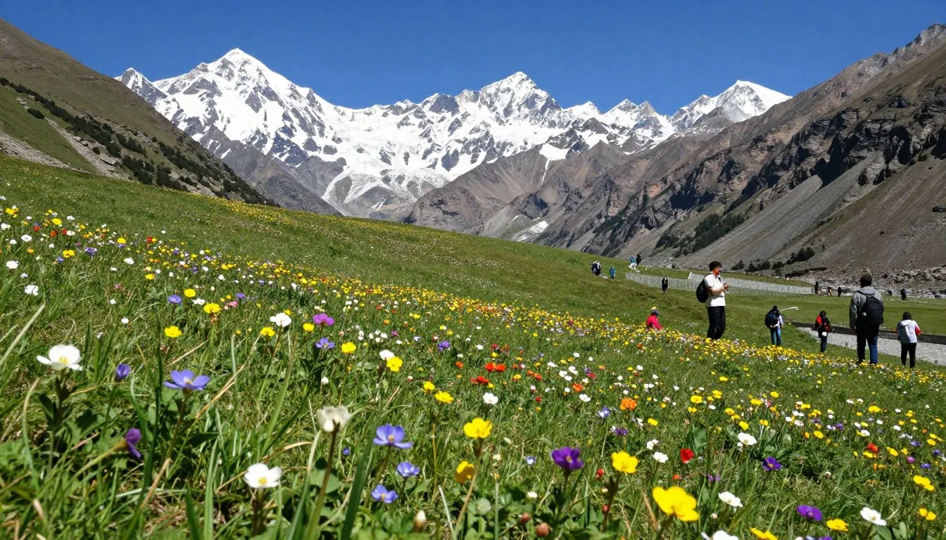 Uttarakhand valley flowers blooming across alpine meadows with snow-capped Himalayan peaks in background
